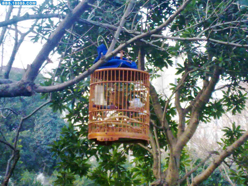 20101226808.jpg