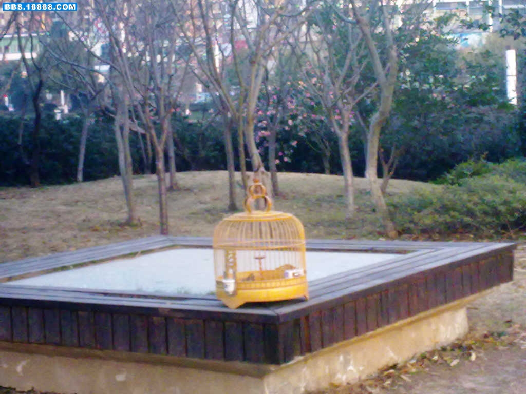 20101231831.jpg
