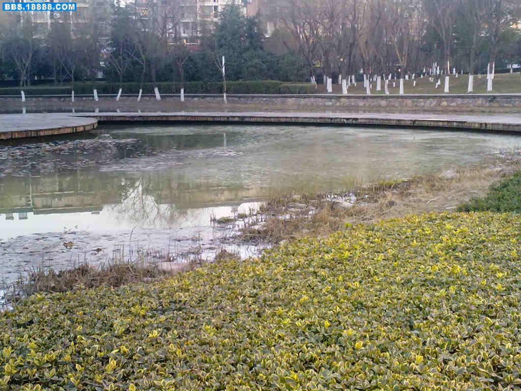 20101231827.jpg
