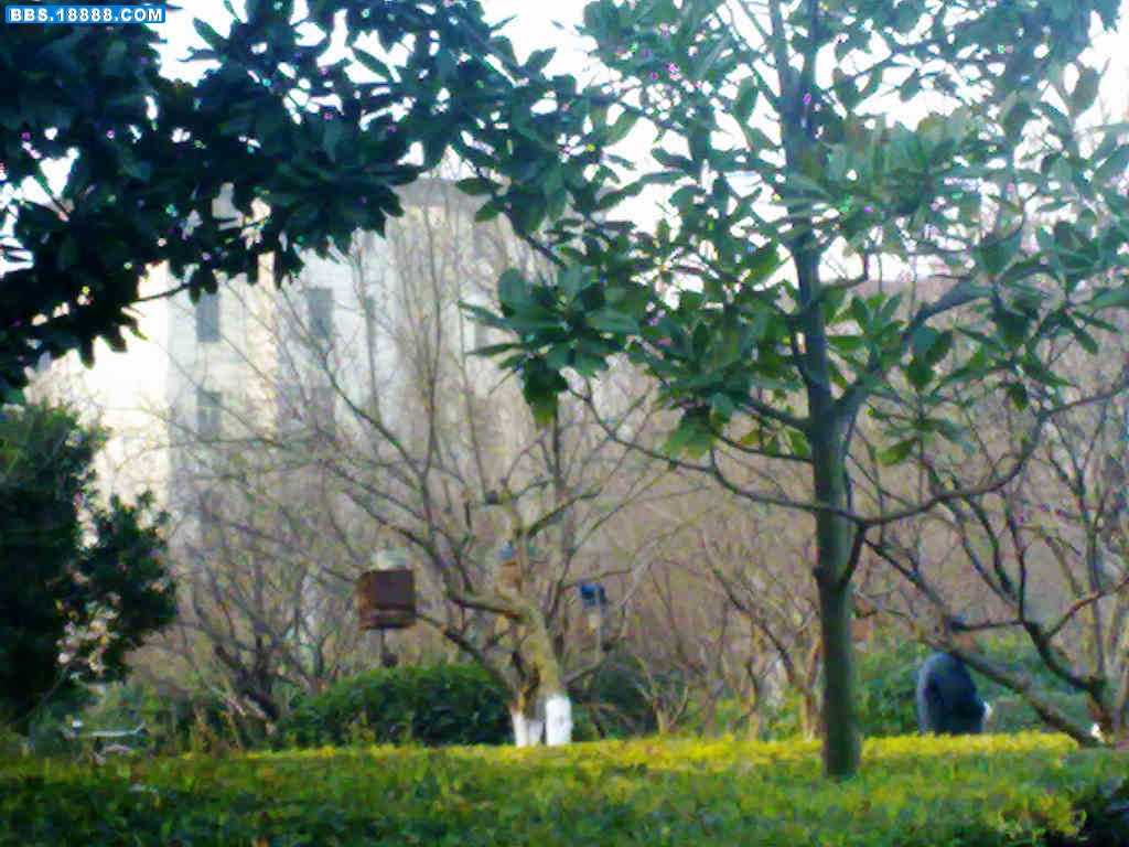 20101226815.jpg