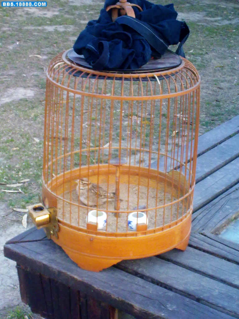 20101231830.jpg