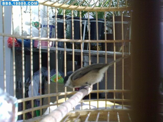 20101221254.jpg