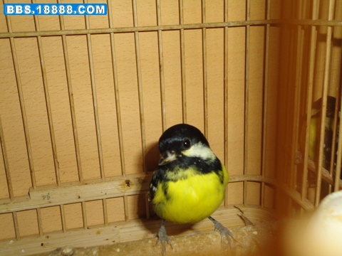 DSC01360-1.JPG