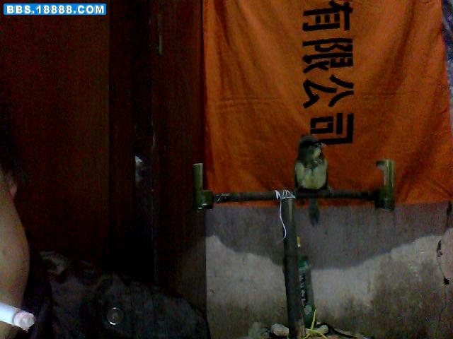 图片 003.jpg