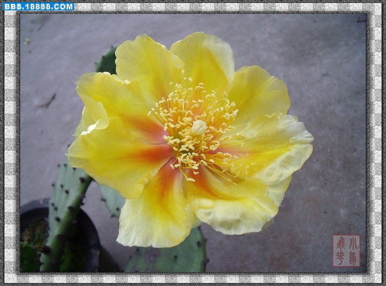 DSCF4207.jpg