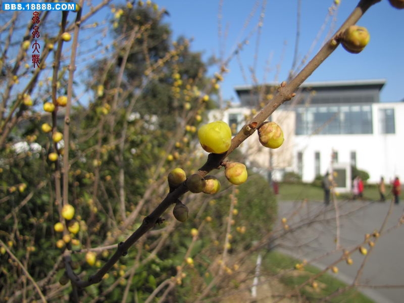 IMG_2443_调整大小.JPG