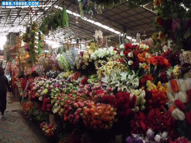 2010_12110047.JPG