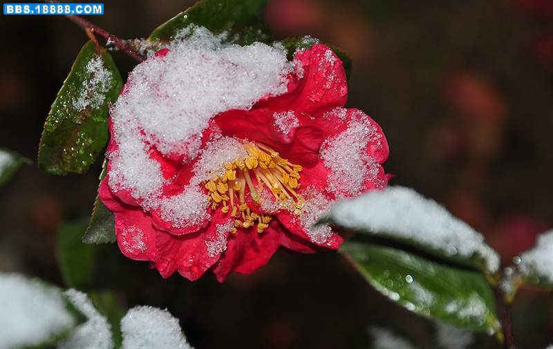 2011.1.18 227.jpg