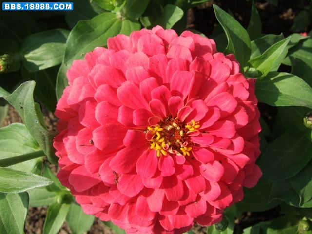 调整大小 DSCF6283.JPG