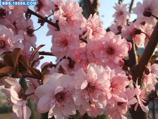 DSCF9928.JPG