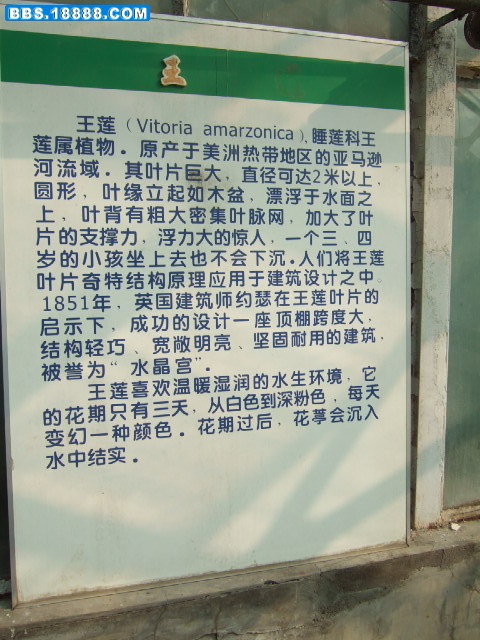 DSCF9131.JPG