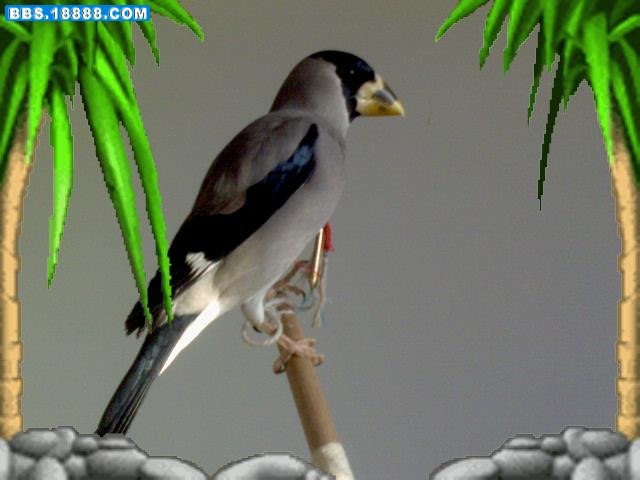 DSC00912.JPG