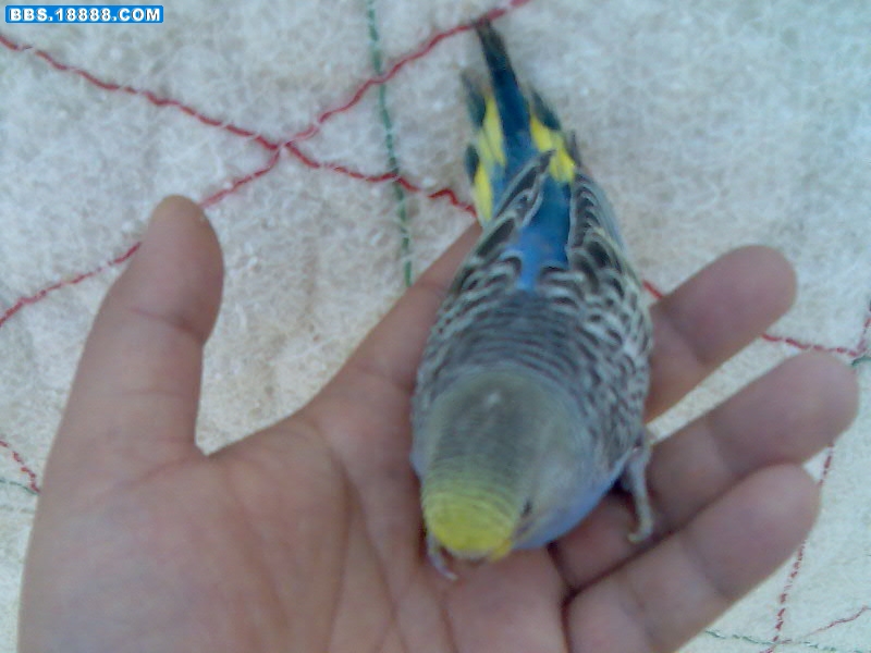 2011.1.5009.jpg