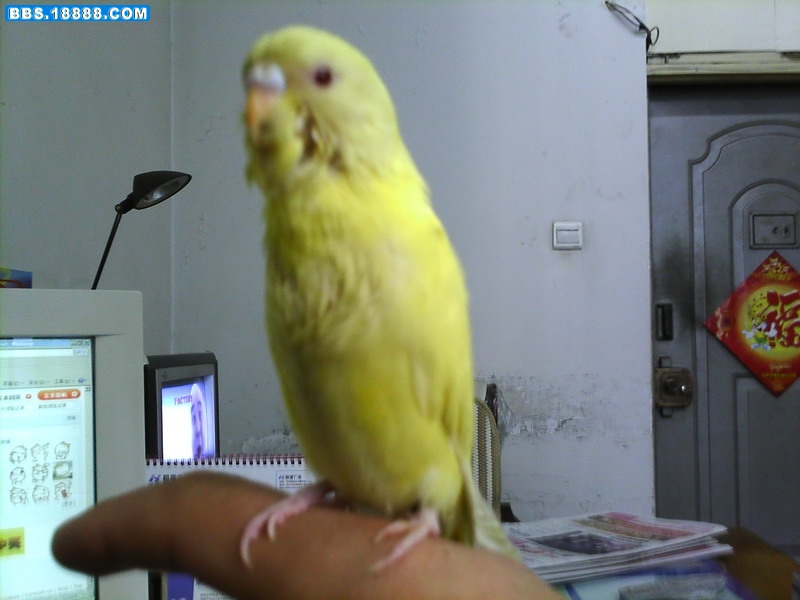 IMG_0052_缩小大小.JPG