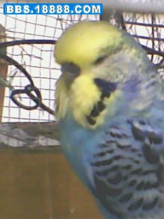 IMG0841A.jpg