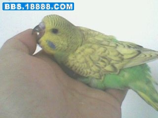 IMG3314A.jpg