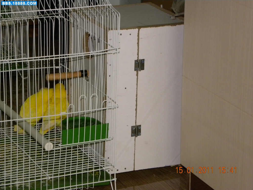 DSCN3916.jpg