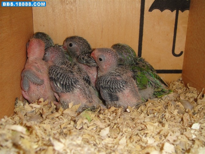 http_imgloadCAW27SUR.jpg
