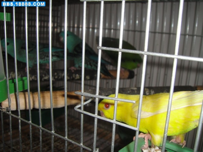 http_imgloadCA8TUOT6.jpg