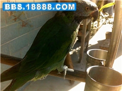 2011-01-25 09.55.55_副本.jpg