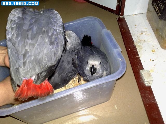 20110122679.jpg