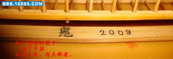 DSC08603.JPG