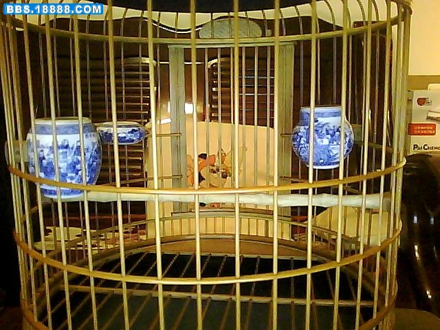 图片 013.jpg