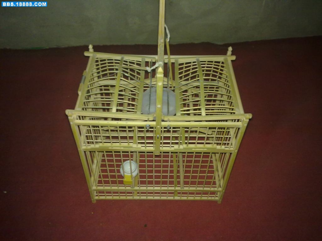20110111727.jpg