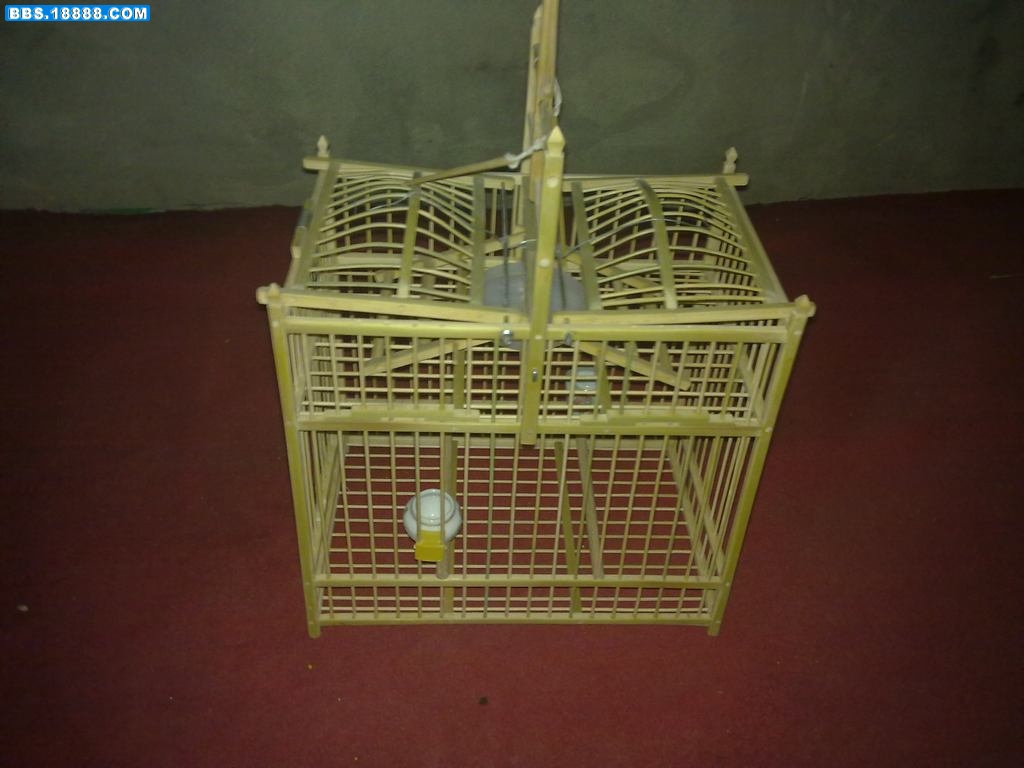 2011011172445646.jpg