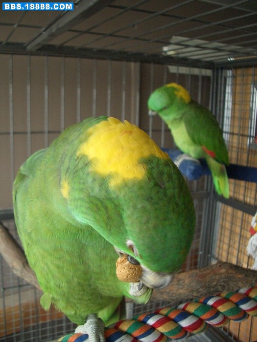 04.JPG