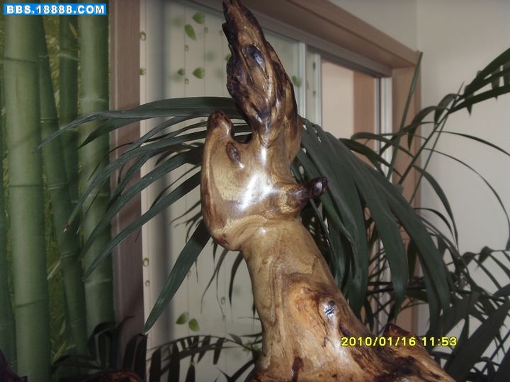 鹿6.jpg