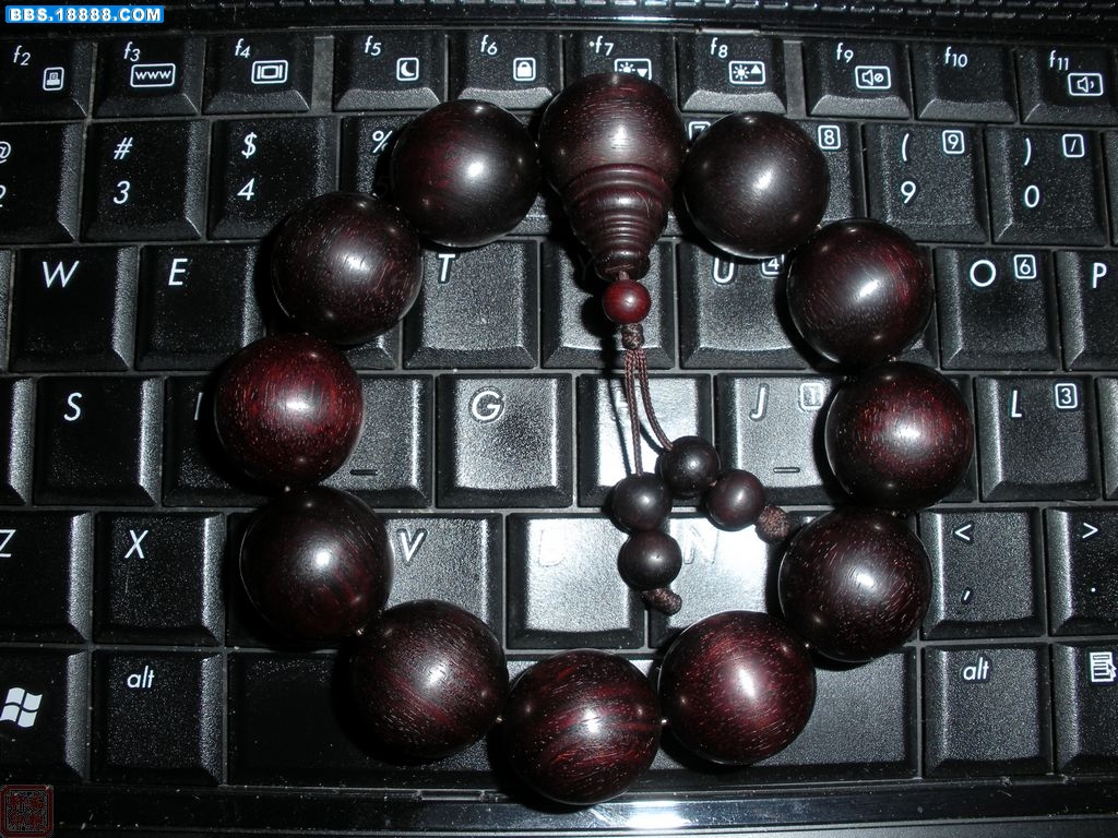 DSCN3822.jpg