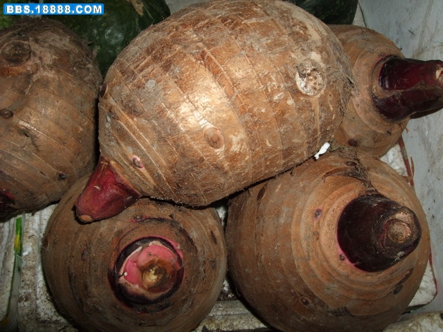 DSCF6009.jpg