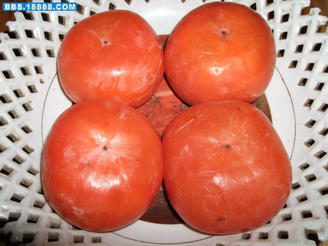 DSCF5974.jpg