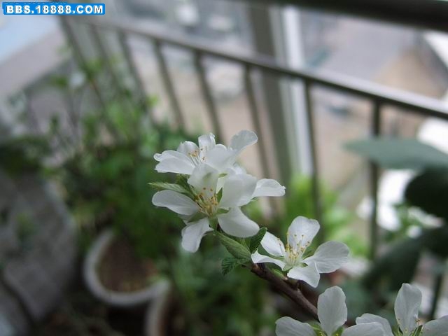 调整大小 380_84572_751d92998efe42a.jpg