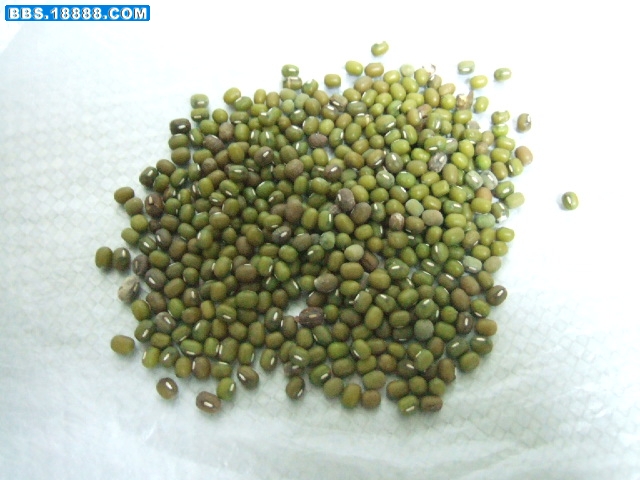 DSCF5416.JPG