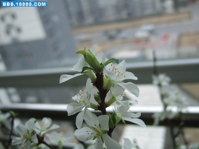 调整大小 380_84572_580cf5dd8f44fd1.jpg