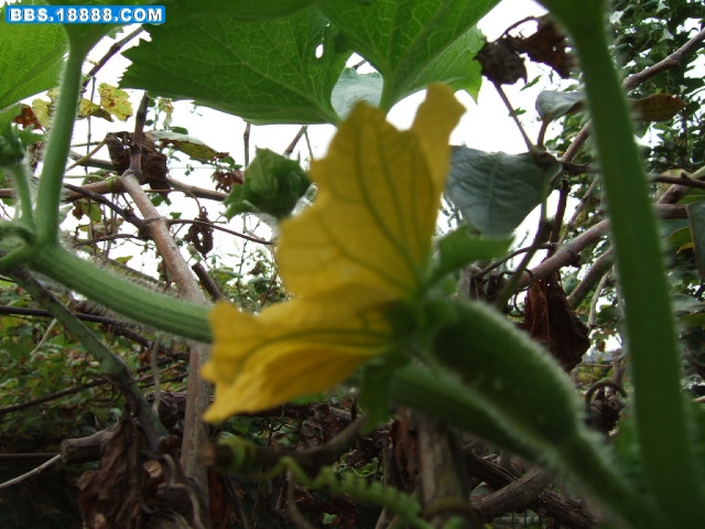 DSCF7378.JPG