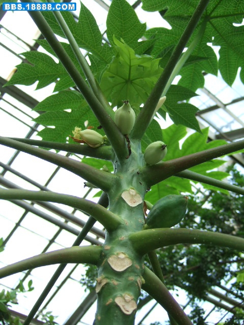DSCF9781.JPG
