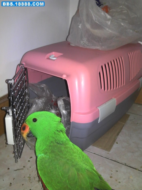 2011-01-15_17-54-19_667.jpg