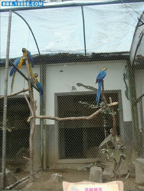 DSC03379.JPG