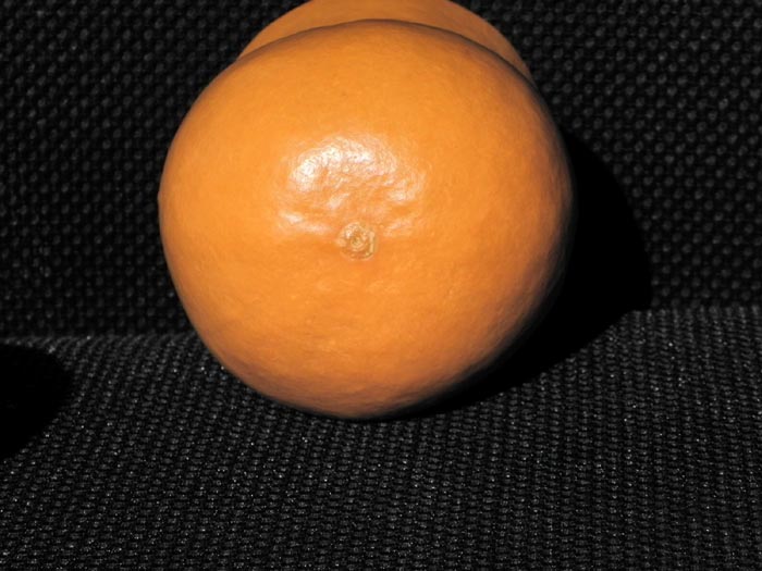 DSCN0890.jpg