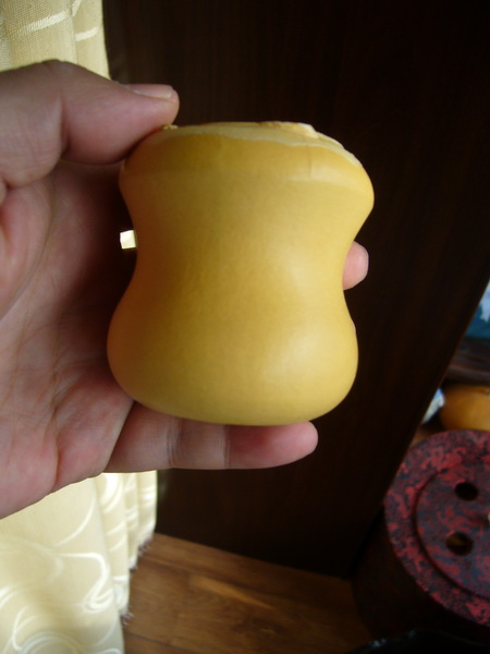 P1240533_调整大小.JPG