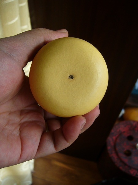 P1240534_调整大小.JPG