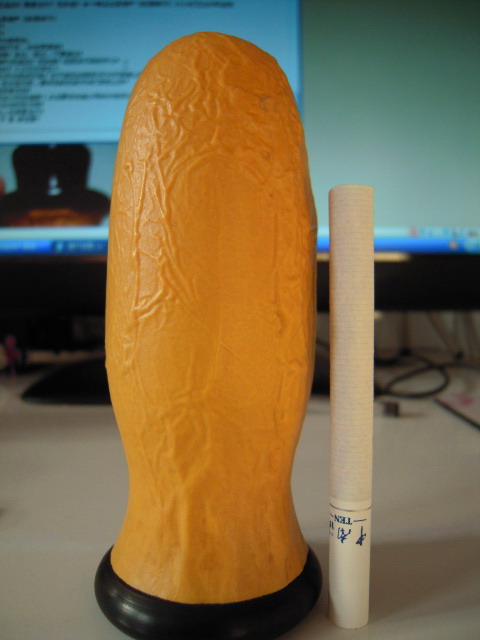DSCN2462.jpg