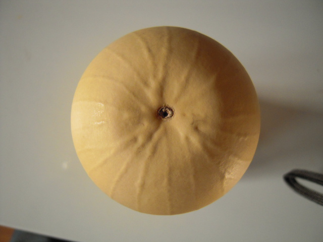 DSCN2878.JPG