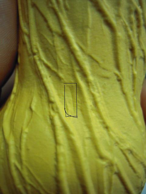 DSCN3293.jpg