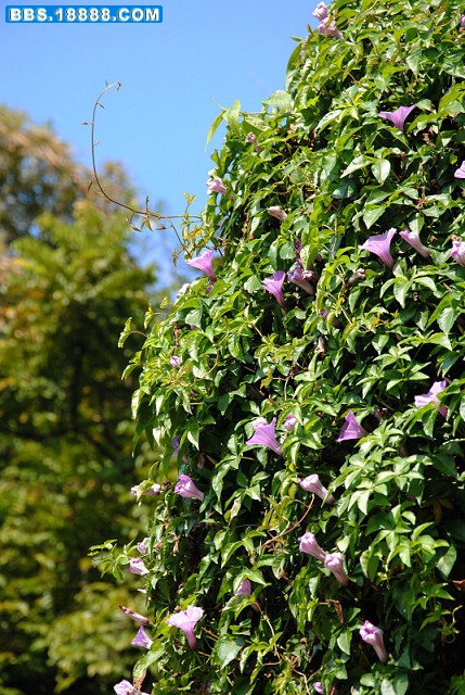 DSC_0836.JPG