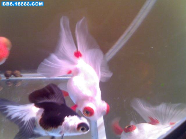 0117_223359.jpg