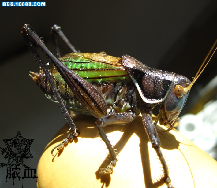 IMG_3077 拷贝.jpg